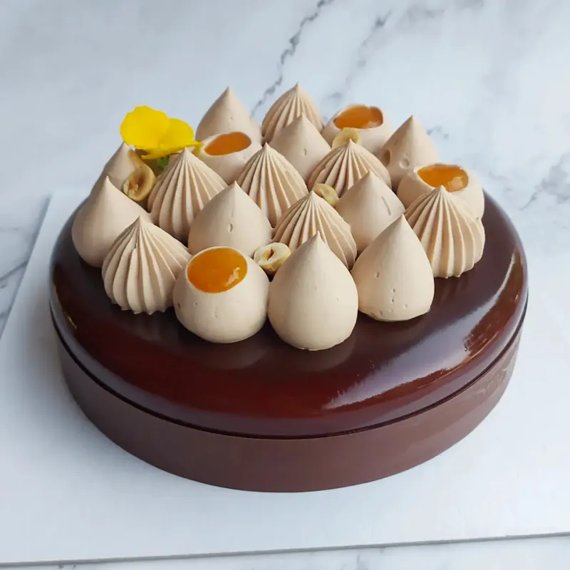 Torta semifreddo Sacher, con glassa lucida al cioccolato, ciuffi di crema, gelée di albicocca e nocciole in superficie.