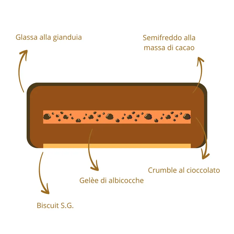 Sezione a strati della torta Sacher: glassa alla gianduia, semifreddo alla massa di cacao, gelée di albicocche, crumble al cioccolato, biscuit S.G.